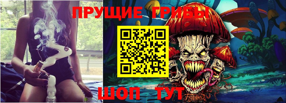 Рязань  Псилоцибиновые грибы Magic Shrooms  Псилоцибиновые грибы Magic Shrooms  Вход с VPN 